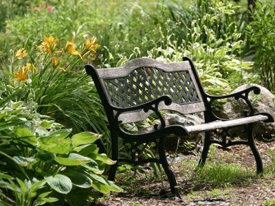Jak wybrać odpowiednią ławkę ogrodową do przestrzeni na zewnątrz?